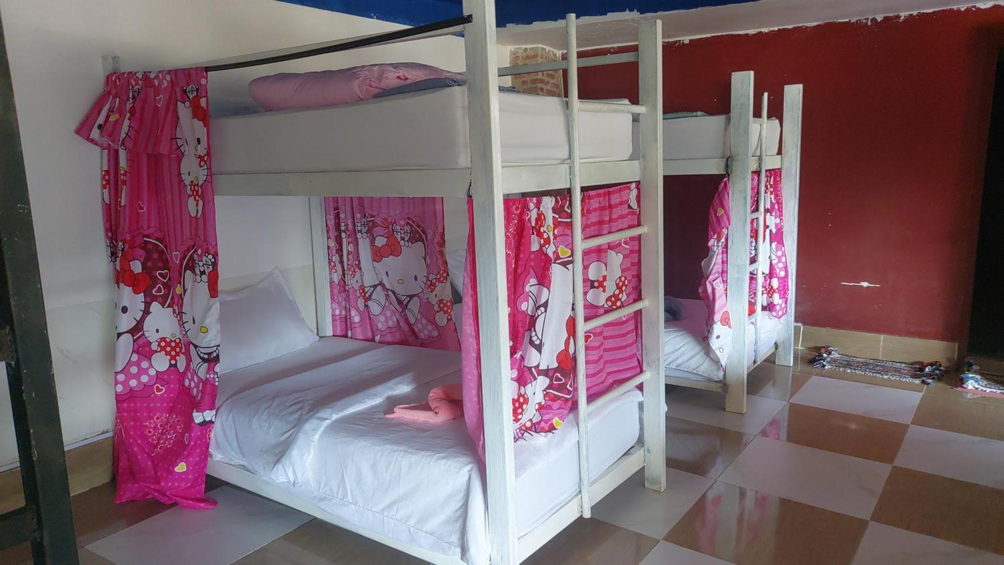 Mekong Backpackers Pakbeng Apartment Room photo